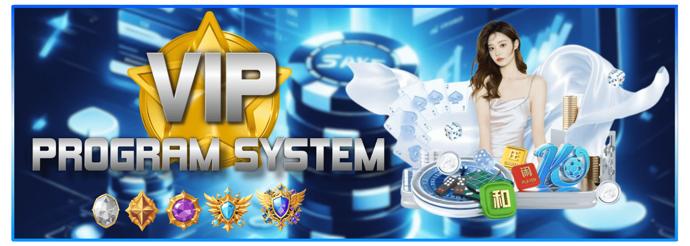 VIP Program Model Image